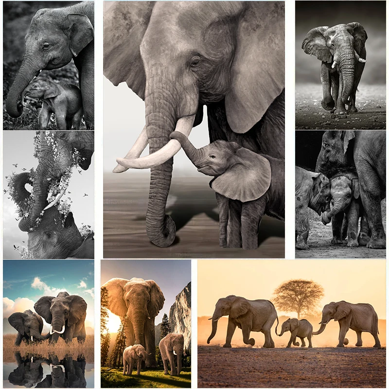 Wildlife Elephant Family Poste - огляд і ціна Baby Nursery Images